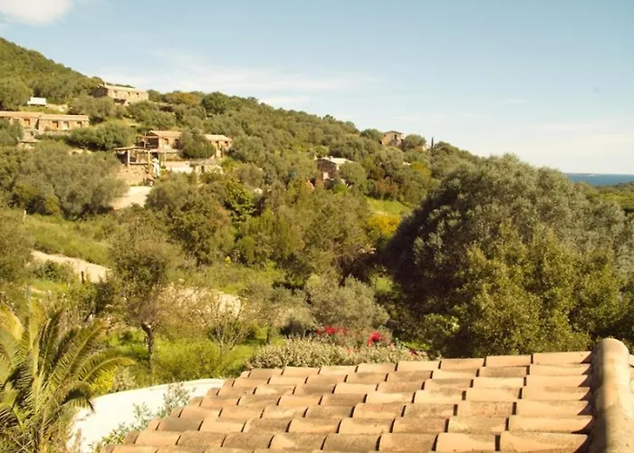 Casa With Pool Near Palombaggia Hébergement de vacances Porto-Vecchio (Corsica)