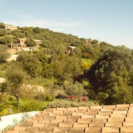 Casa With Pool Near Palombaggia Feriehus Porto-Vecchio (Corsica)